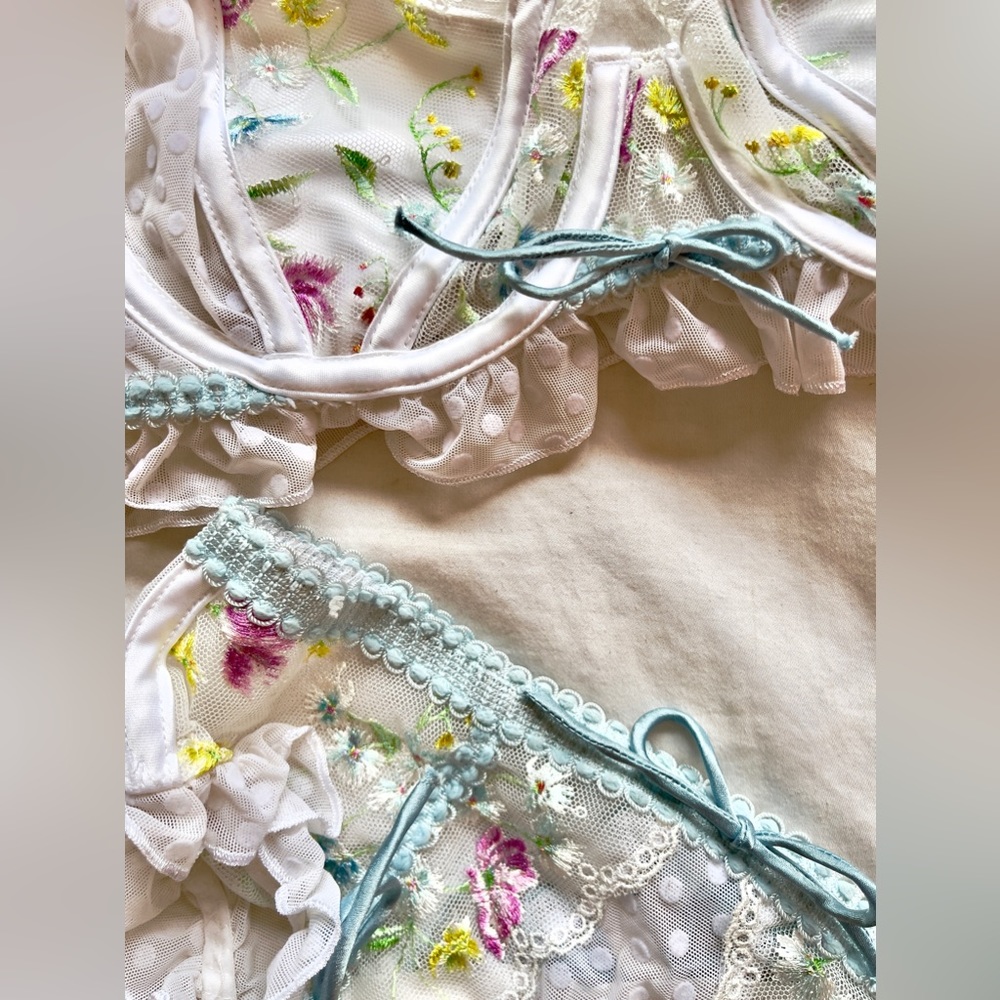 Matching lingerie set from For Love and Lemons. Size SM for both top and bottom